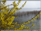 foto Lago di Garda